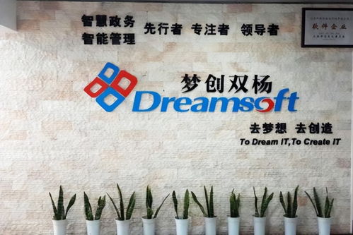 梦创双杨冲刺上交所 计划募资8亿，科技推广和应用服务成焦点