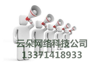 云朵网络 专业SEO优化外包服务，科技赋能网络营销推广